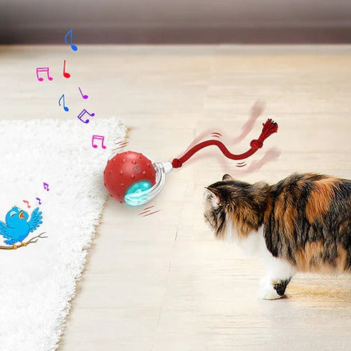 Cat Toy Chirp & Chase Motion Activated Cat Ball with LED Lights