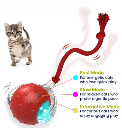 Cat Toy Chirp & Chase Motion Activated Cat Ball with LED Lights