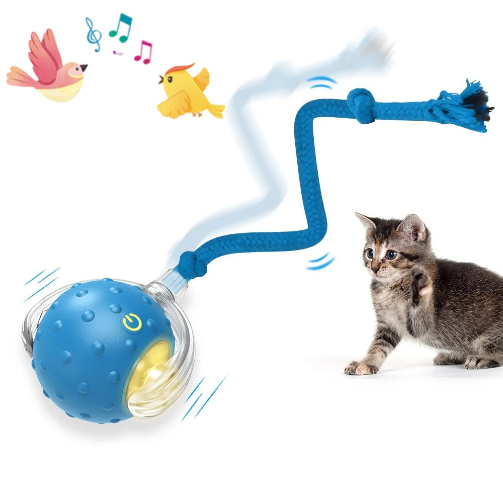 Cat Toy Chirp & Chase Motion Activated Cat Ball with LED Lights